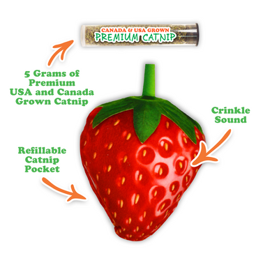 Get Sprung Refillable Strawberry