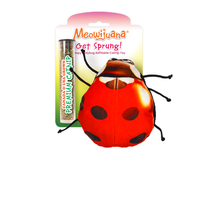 Get Sprung Refillable Lady Bug