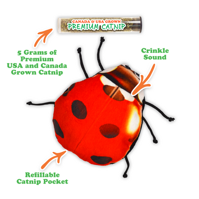 Get Sprung Refillable Lady Bug