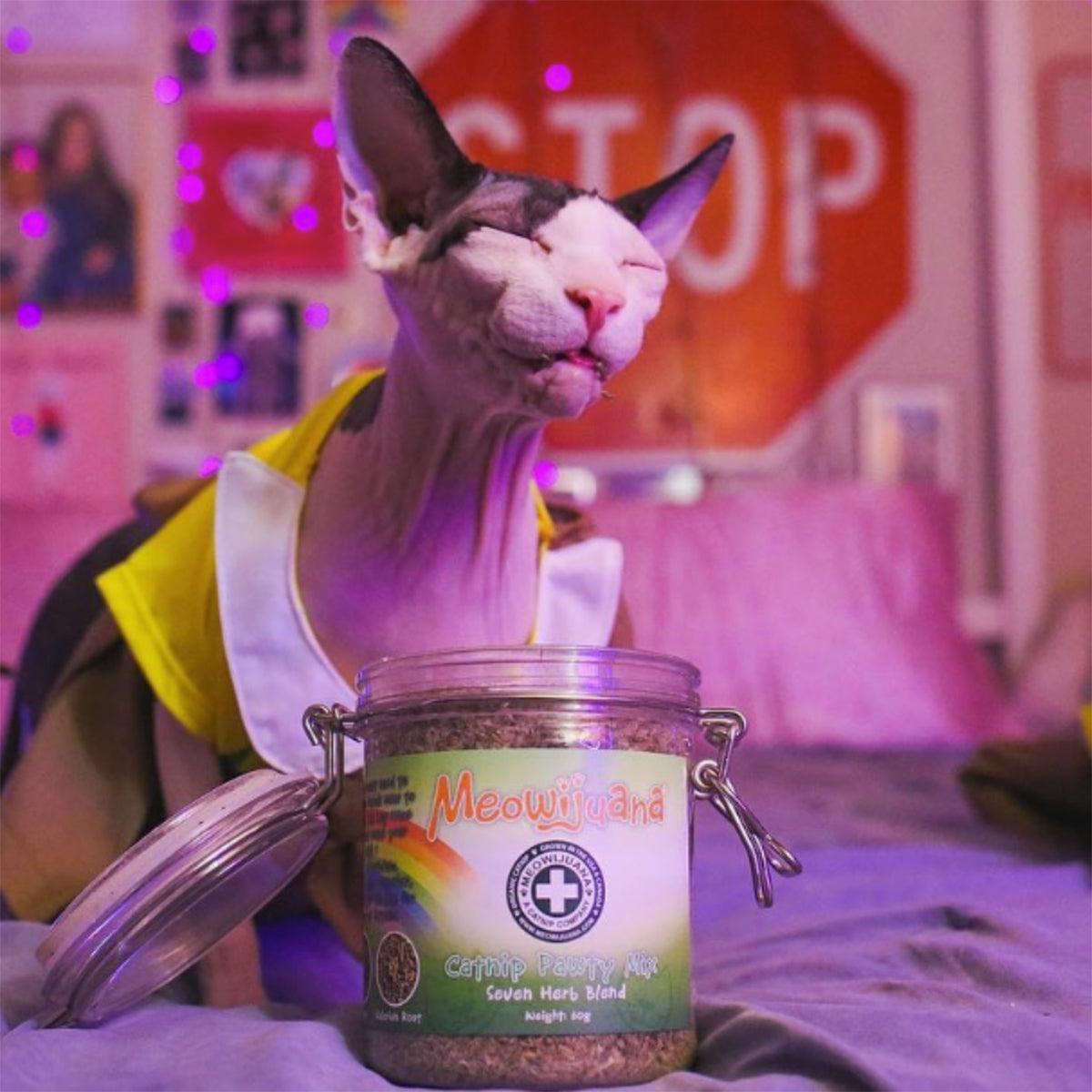 Jar of Catnip Pawty Mix