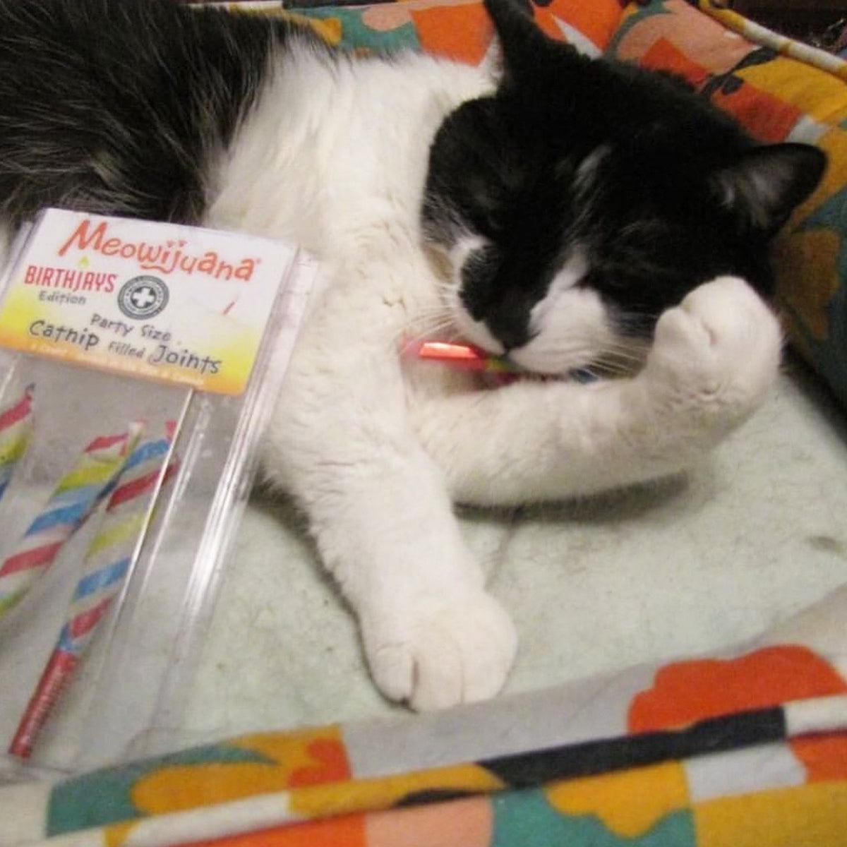 Birthjays™ - Party Size Catnip Joints