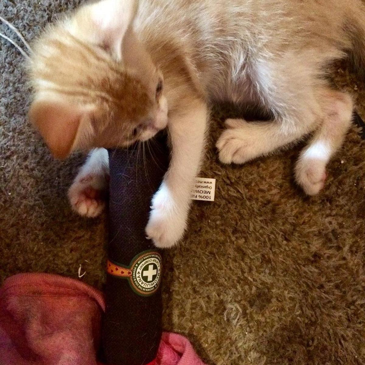 Catnip Cigar