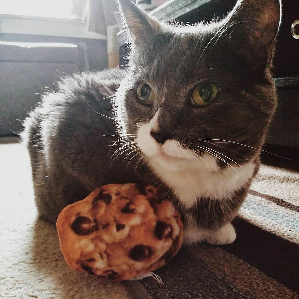 Get Baked Refillable Cookie