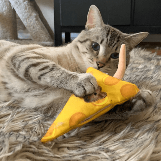 Get Cheezy Refillable Cheese & Mouse