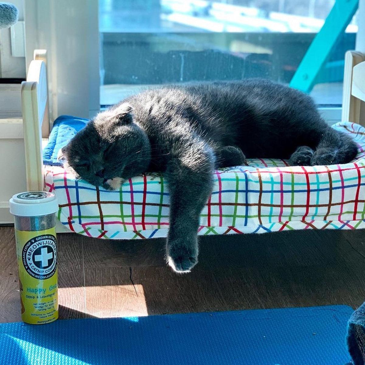 Happy Grass - Catnip & Lemongrass Blend