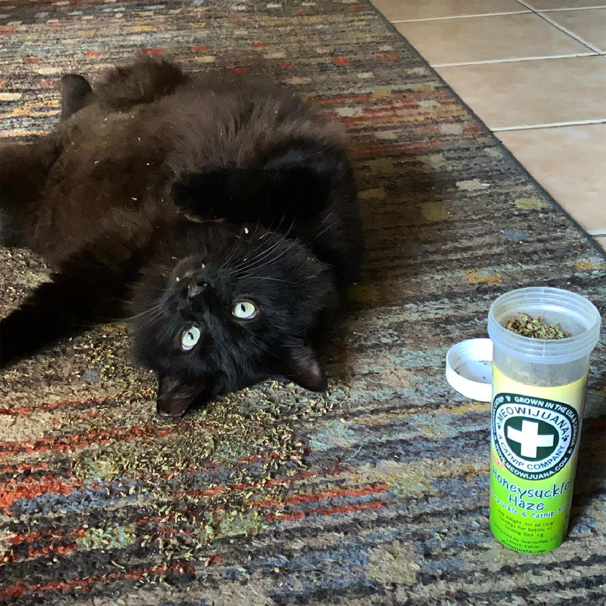 Honeysuckle Haze - Honeysuckle & Catnip Blend