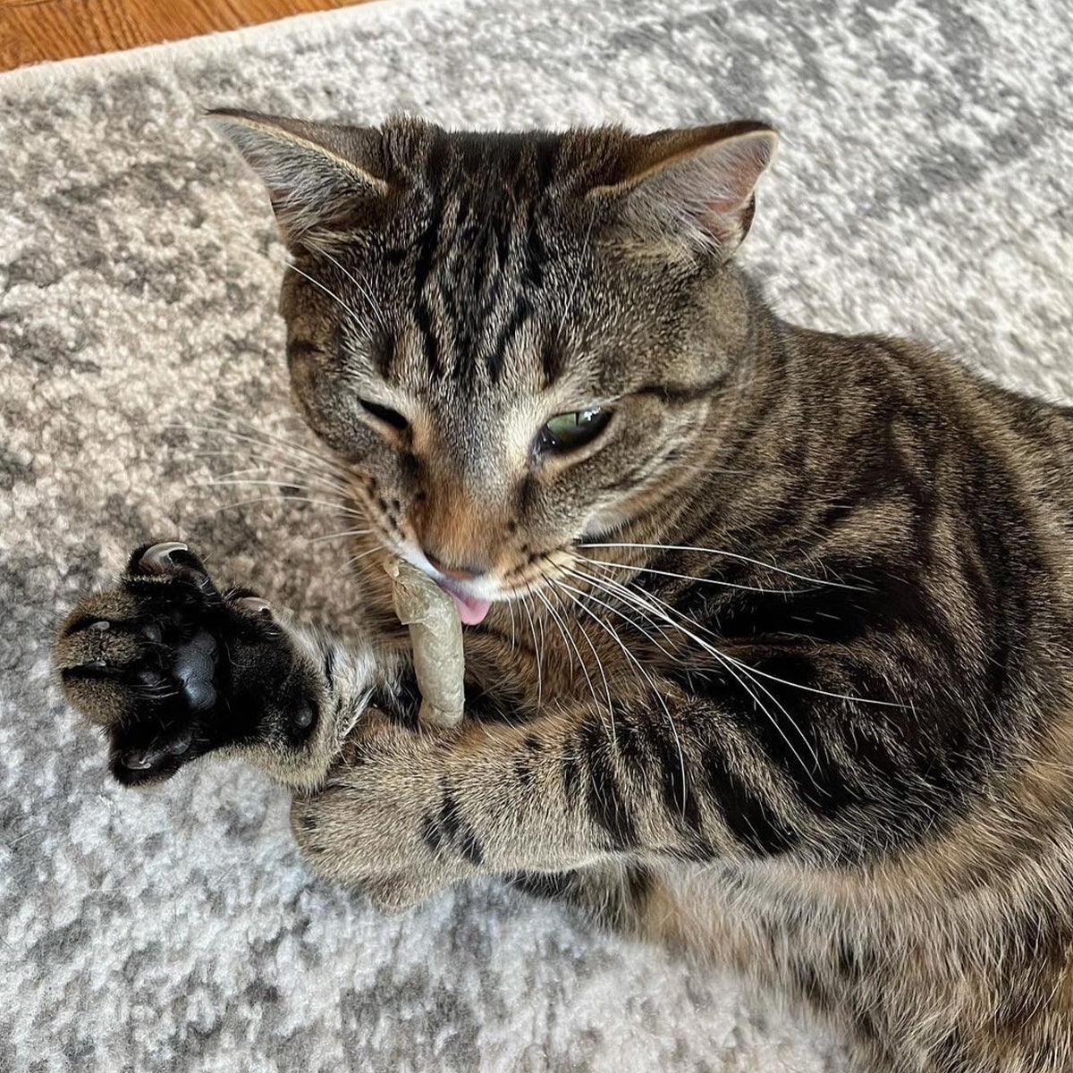 Catnibas® - King Size Meowy J's
