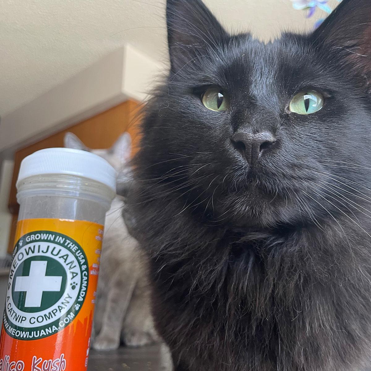 Kalico Kush - Valerian Root & Catnip Blend