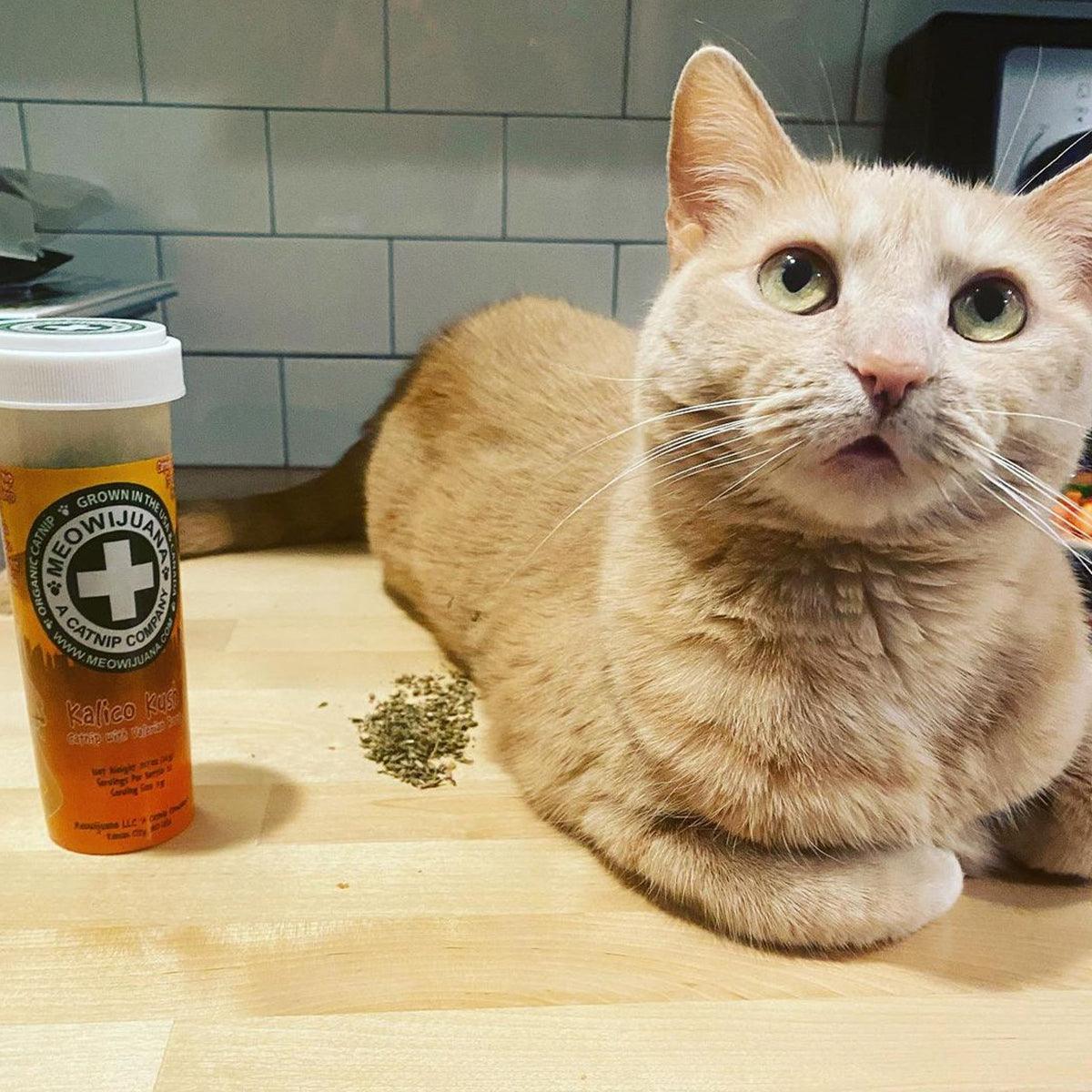 Kalico Kush - Valerian Root & Catnip Blend