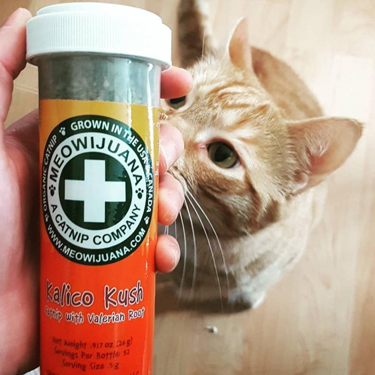 Kalico Kush - Valerian Root & Catnip Blend