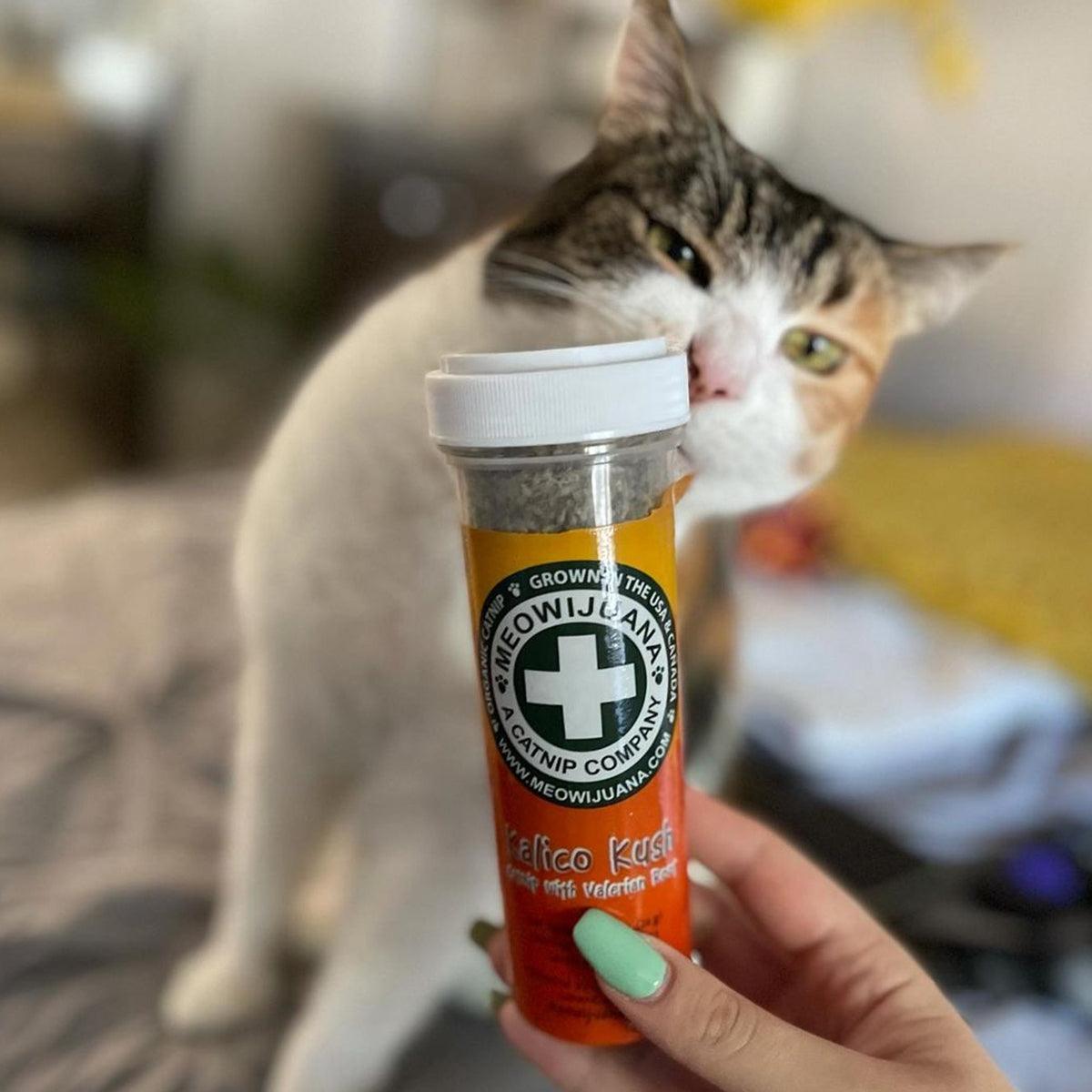Kalico Kush - Valerian Root & Catnip Blend