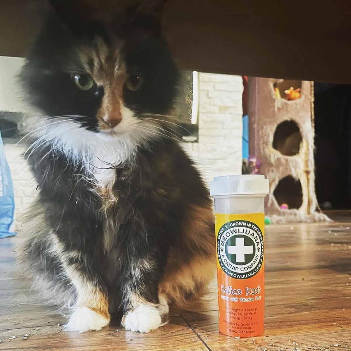 Kalico Kush - Valerian Root & Catnip Blend