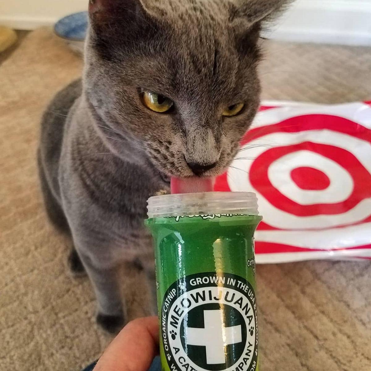 Meowi-Waui - Ground Catnip & Catnip Buds