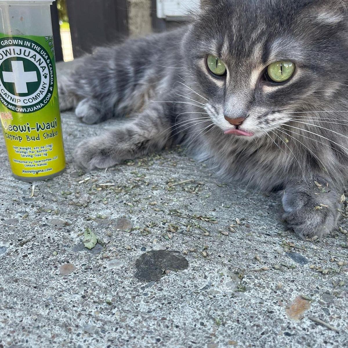 Meowi-Waui - Ground Catnip & Catnip Buds