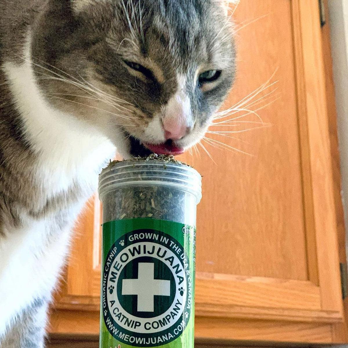 Meowi-Waui - Ground Catnip & Catnip Buds
