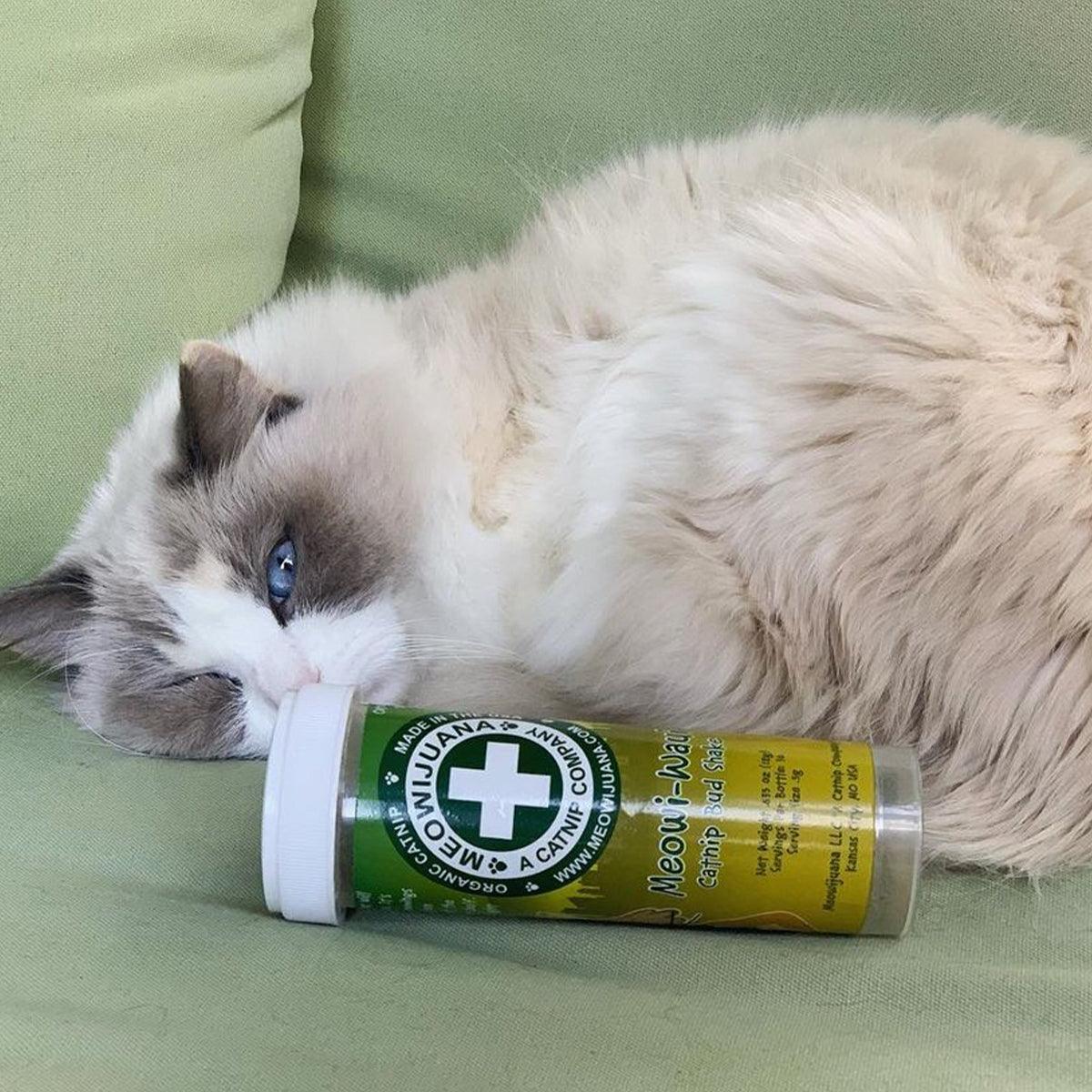Meowi-Waui - Ground Catnip & Catnip Buds