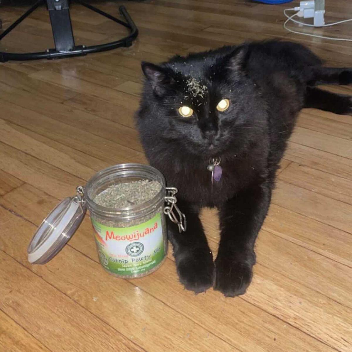 Jar of Catnip Pawty Mix with Lemongrass