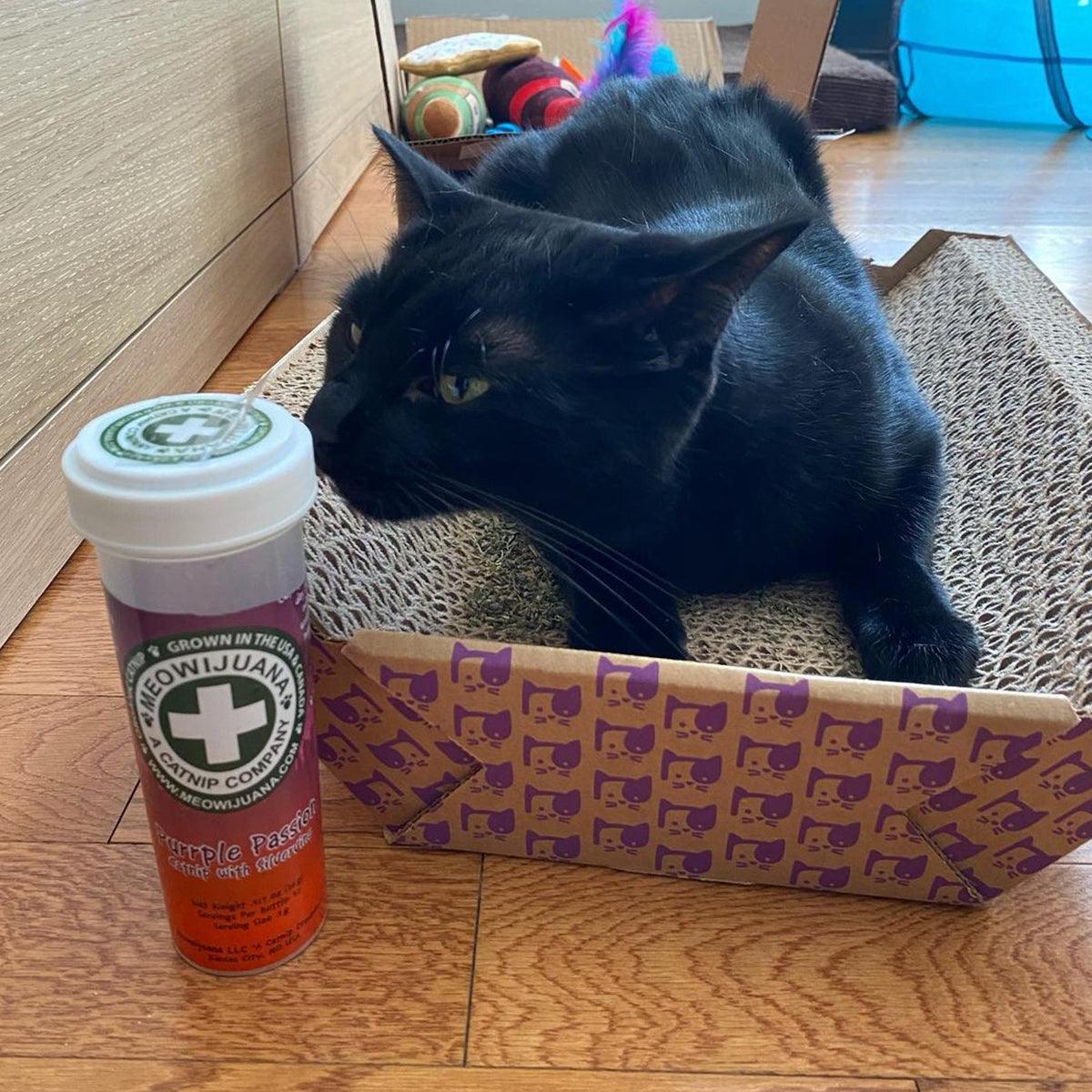 Purrple Passion - Silvervine & Catnip Blend