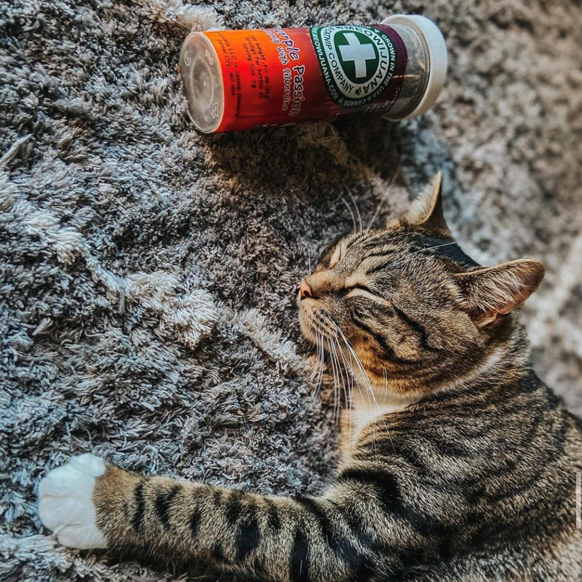 Purrple Passion - Silvervine & Catnip Blend