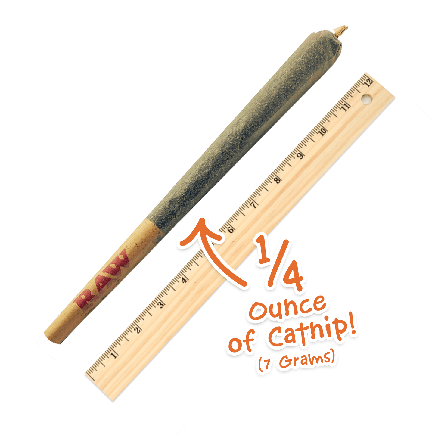 Catnibas® - Supernatural Meowy J