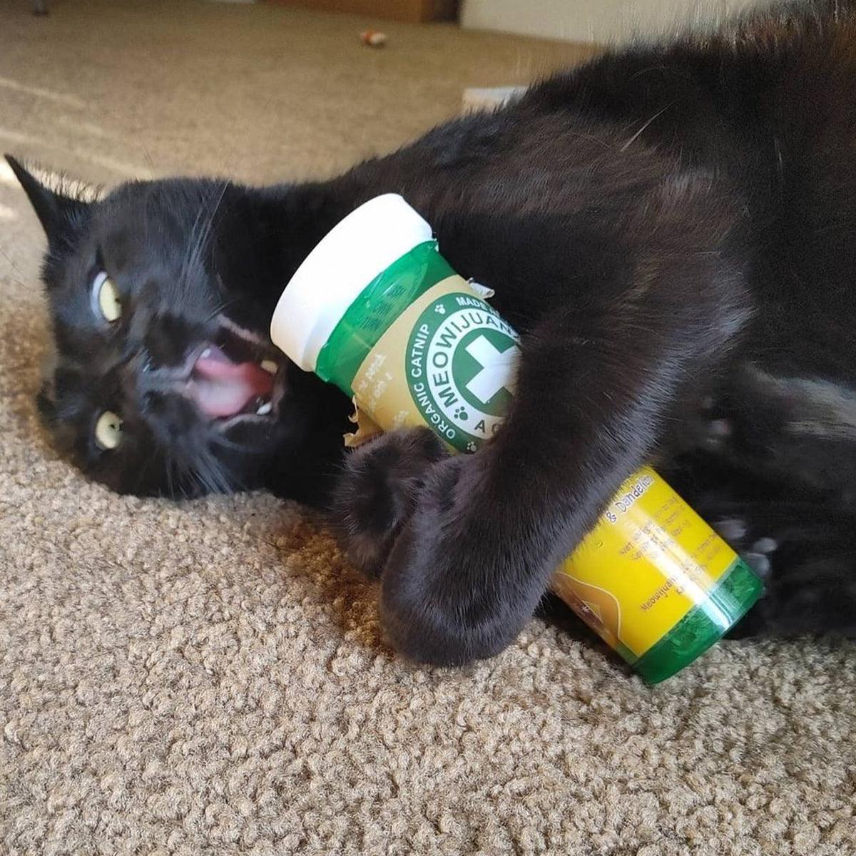 Whisker Tickler - Chamomile, Dandelion & Catnip Blend