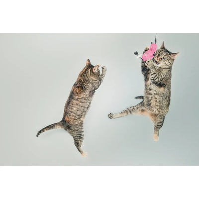 Two tabby cats mid-jump, energetically reaching for a pink toy against a light gray background.