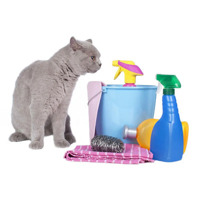 A gray cat sits beside cleaning supplies, including spray bottles, a bucket, and a cloth, highlighting safety concerns.