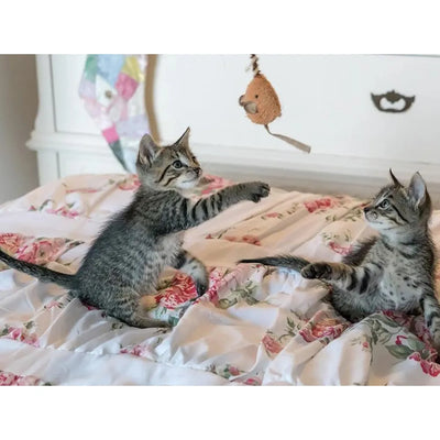 Kittens playfully interact on a floral quilt, reaching for a hanging toy in a cozy bedroom setting.