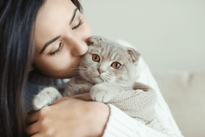 10 Ways to Celebrate National Cat Lovers' Month - Meowijuana - A Catnip Company