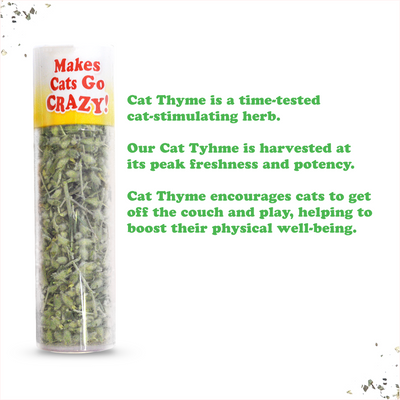Cat Thyme Sprigs