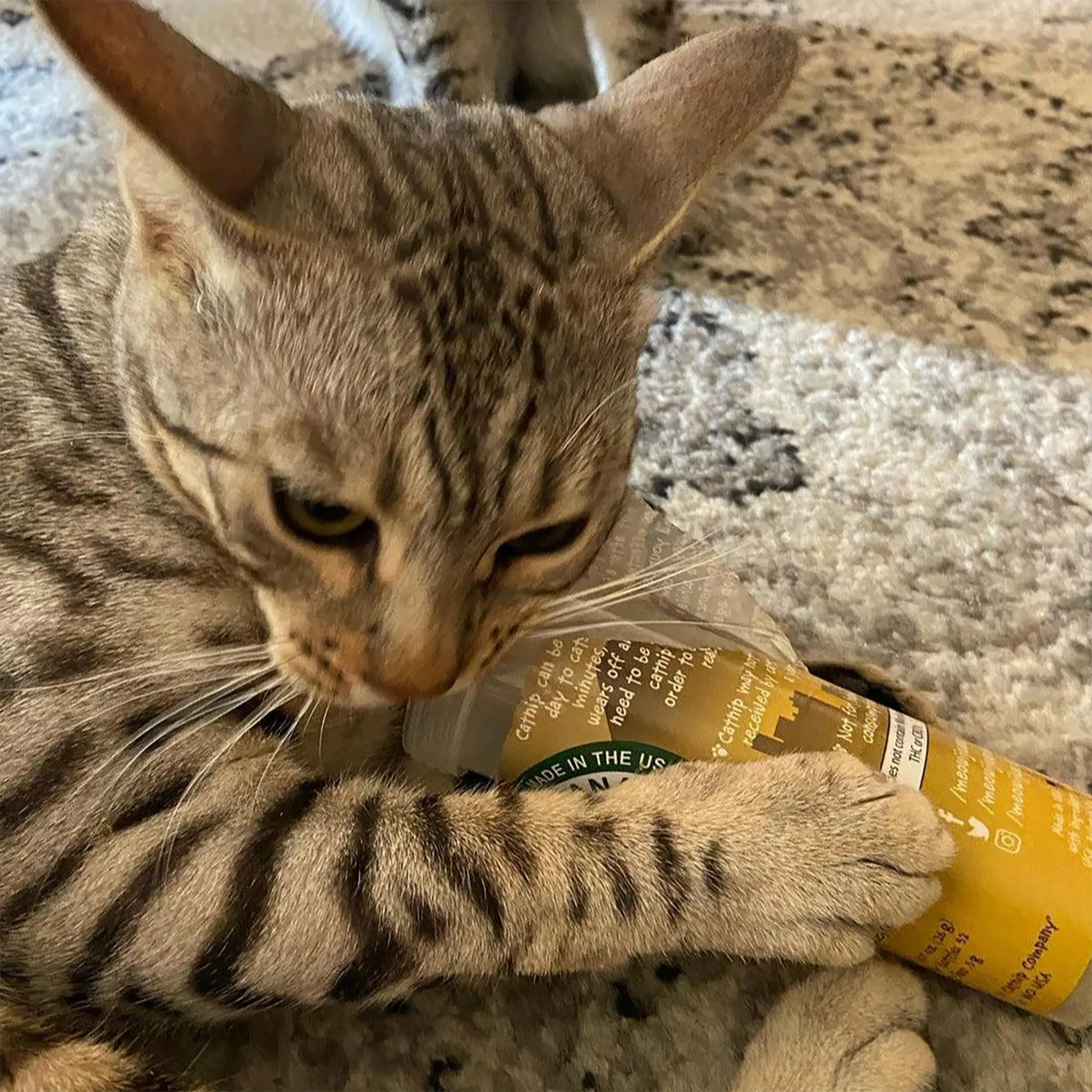 Spotted tabby cat gripping and chewing on a Meowi-Waui Whisker Tickler catnip container with focus.