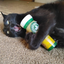 Black cat lying on its back, hugging a Meowi-Waui Whisker Tickles container, looking ecstatic with mouth open.