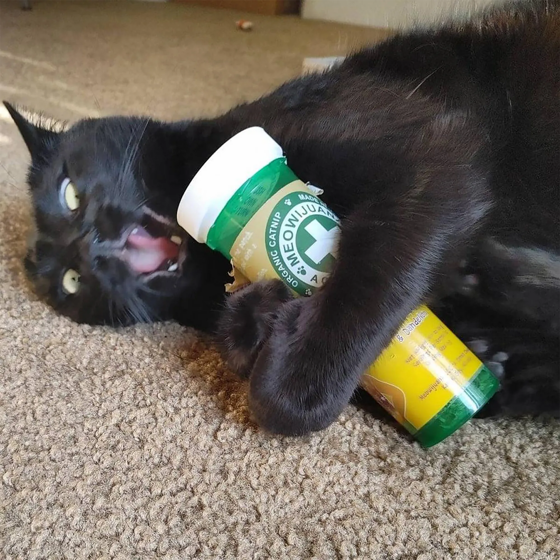 Black cat lying on its back, hugging a Meowi-Waui Whisker Tickles container, looking ecstatic with mouth open.