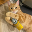 Orange tabby cat lying down, hugging a Meowi-Waui Whisker Tickles container with a content expression.
