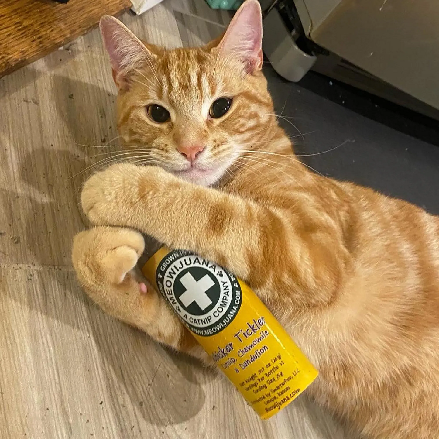 Orange tabby cat lying down, hugging a Meowi-Waui Whisker Tickles container with a content expression.
