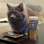 Gray fluffy cat sitting beside a dish of catnip and a Meowi-Waui Whisker Tickles container, looking intrigued.
