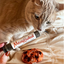 Light-colored cat sniffing a tube of Meowijuana catnip next to a cookie-shaped catnip toy on a bed.