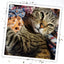 A tabby cat lounging while holding the cookie catnip toy with a relaxed expression.