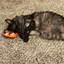 A black, fluffy cat lying on carpet while cuddling the Meowijuana cookie catnip toy.