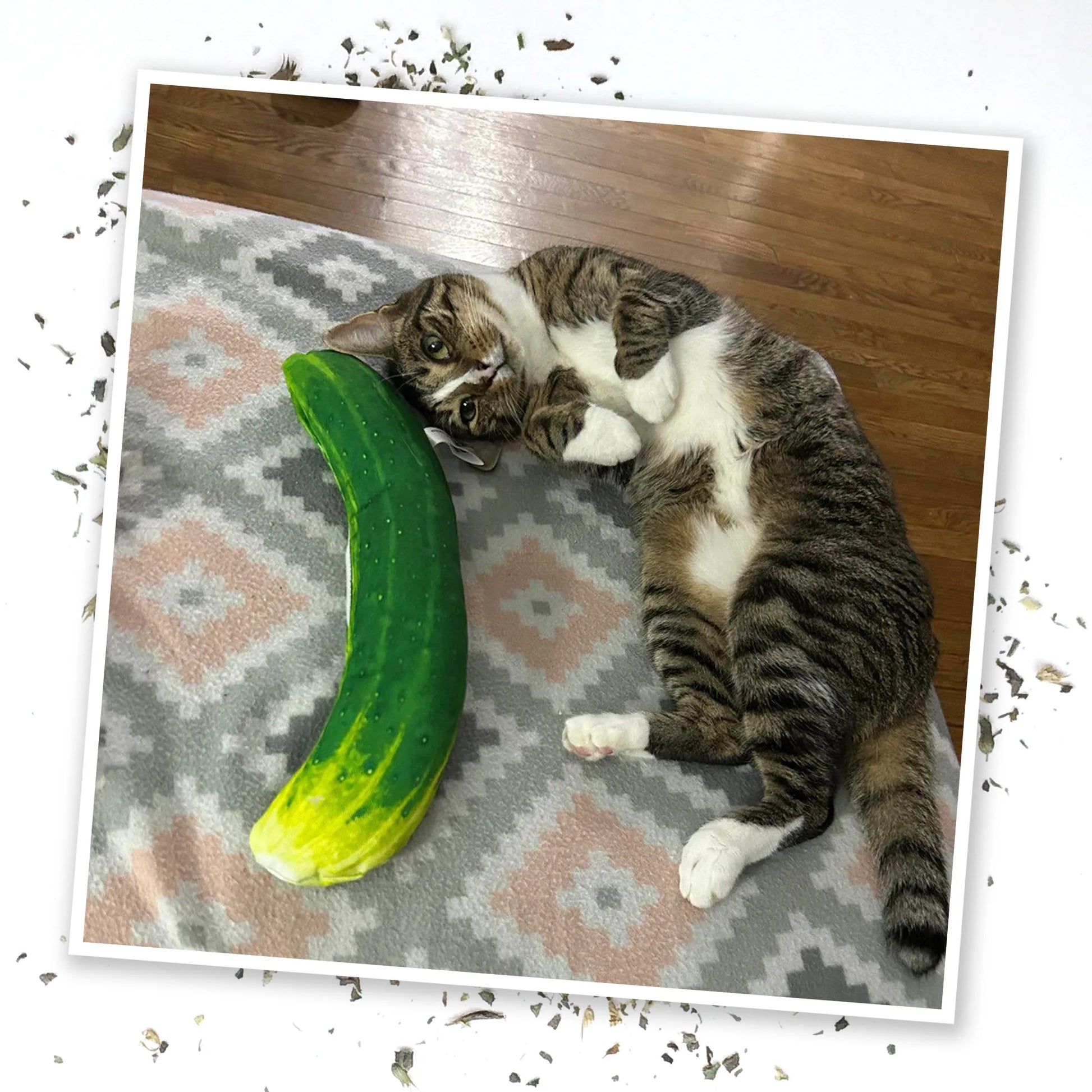A tabby cat lying on a patterned blanket, playfully cuddling the pickle-shaped cat toy.