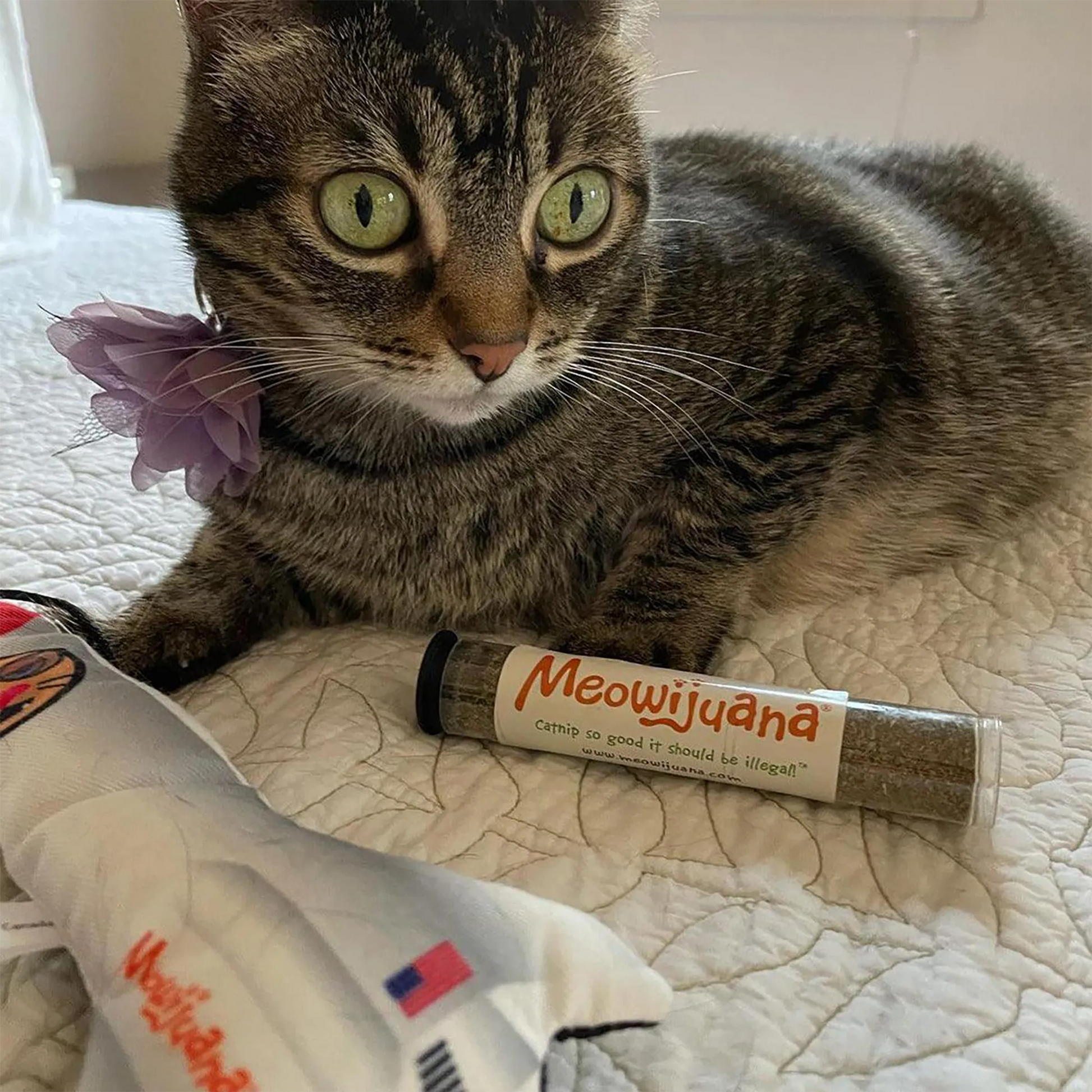 A tabby cat with green eyes, wearing a purple flower collar, lying near a Meowijuana® catnip tube and rocket toy on a white bedspread.