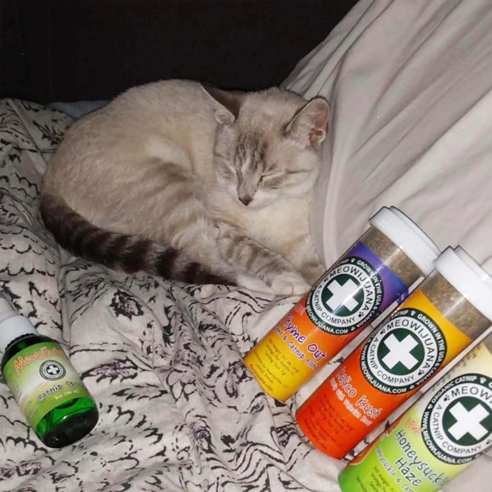 Sleeping Siamese cat curled up on a blanket beside various Meowijuana catnip containers and a spray bottle.