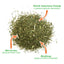 Close-up of Skull Cap blend showcasing its ingredients like North American catnip and silvervine.
