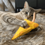 A tabby cat lying on a rug, playfully holding a triangular cheese toy with its paws and biting it.