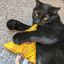 A black cat lying on the carpet, hugging and biting a yellow cheese-shaped cat toy with a stuffed tail.