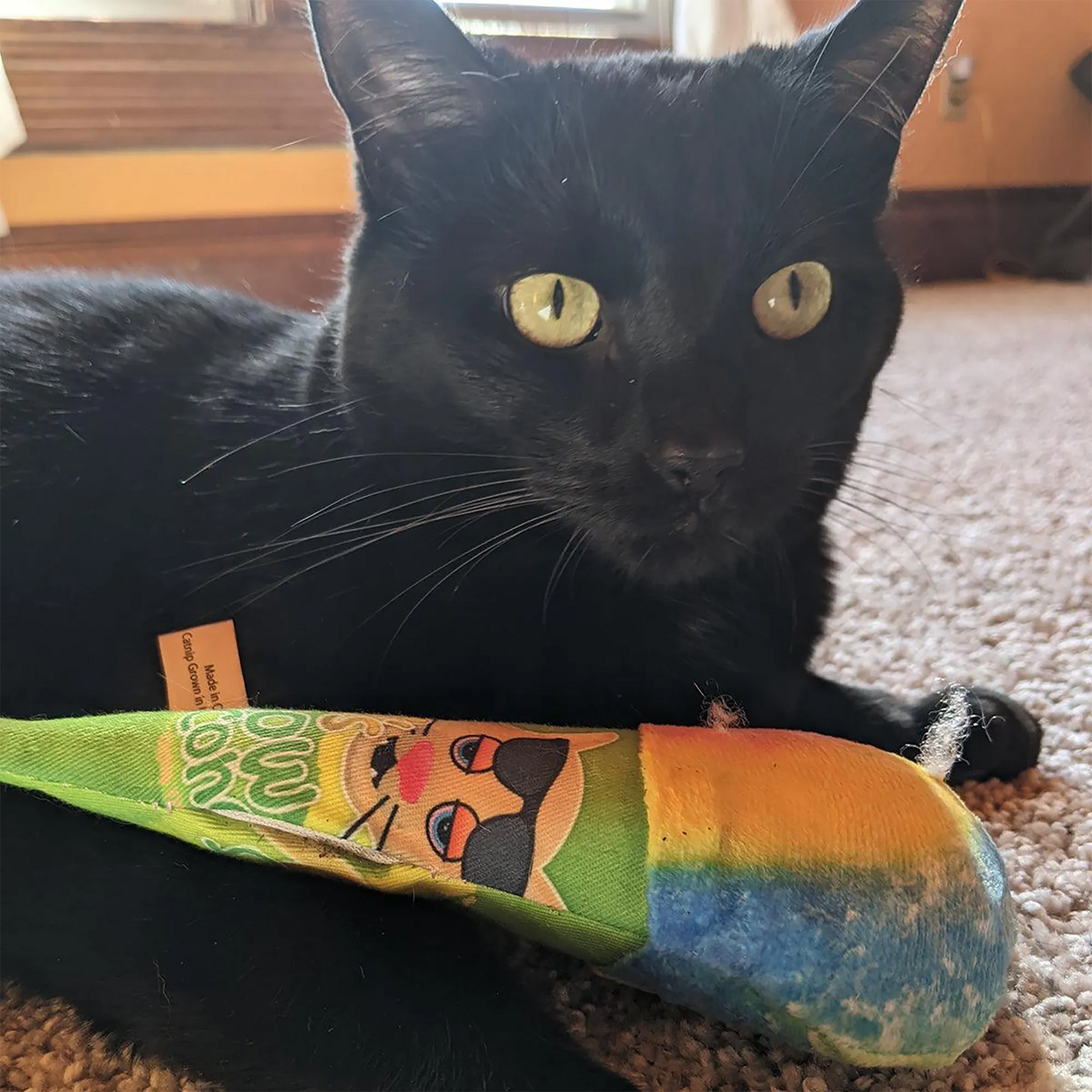 A black cat lying on a carpet, resting with a colorful snow cone cat toy featuring a playful design.
