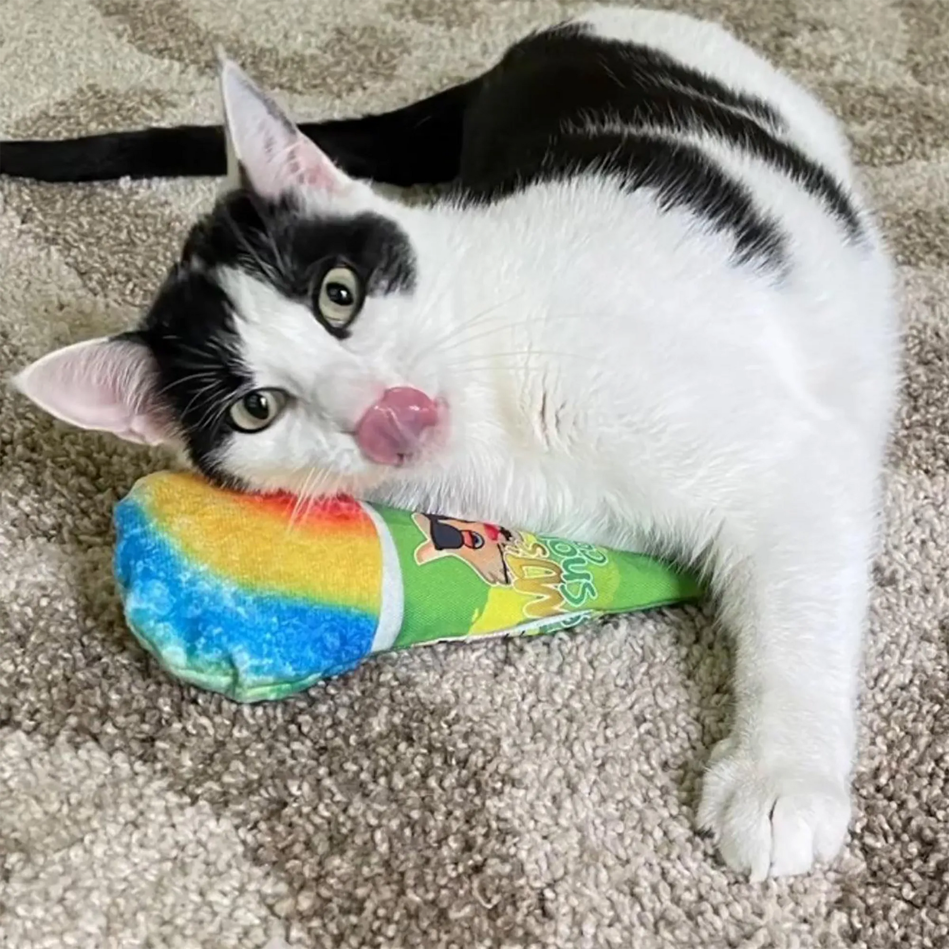 A black-and-white cat resting with its tongue out, cuddling the snow cone toy on a carpeted floor.