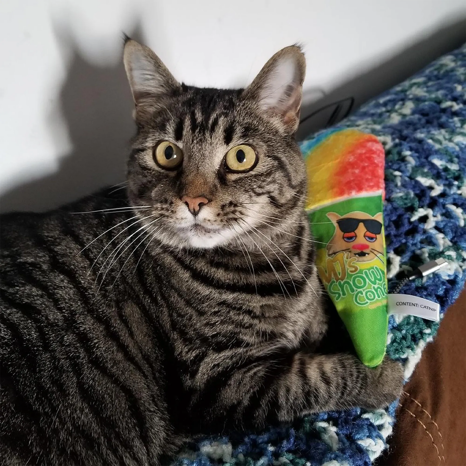 A tabby cat sitting on a blanket, holding the rainbow snow cone cat toy with a wide-eyed look.
