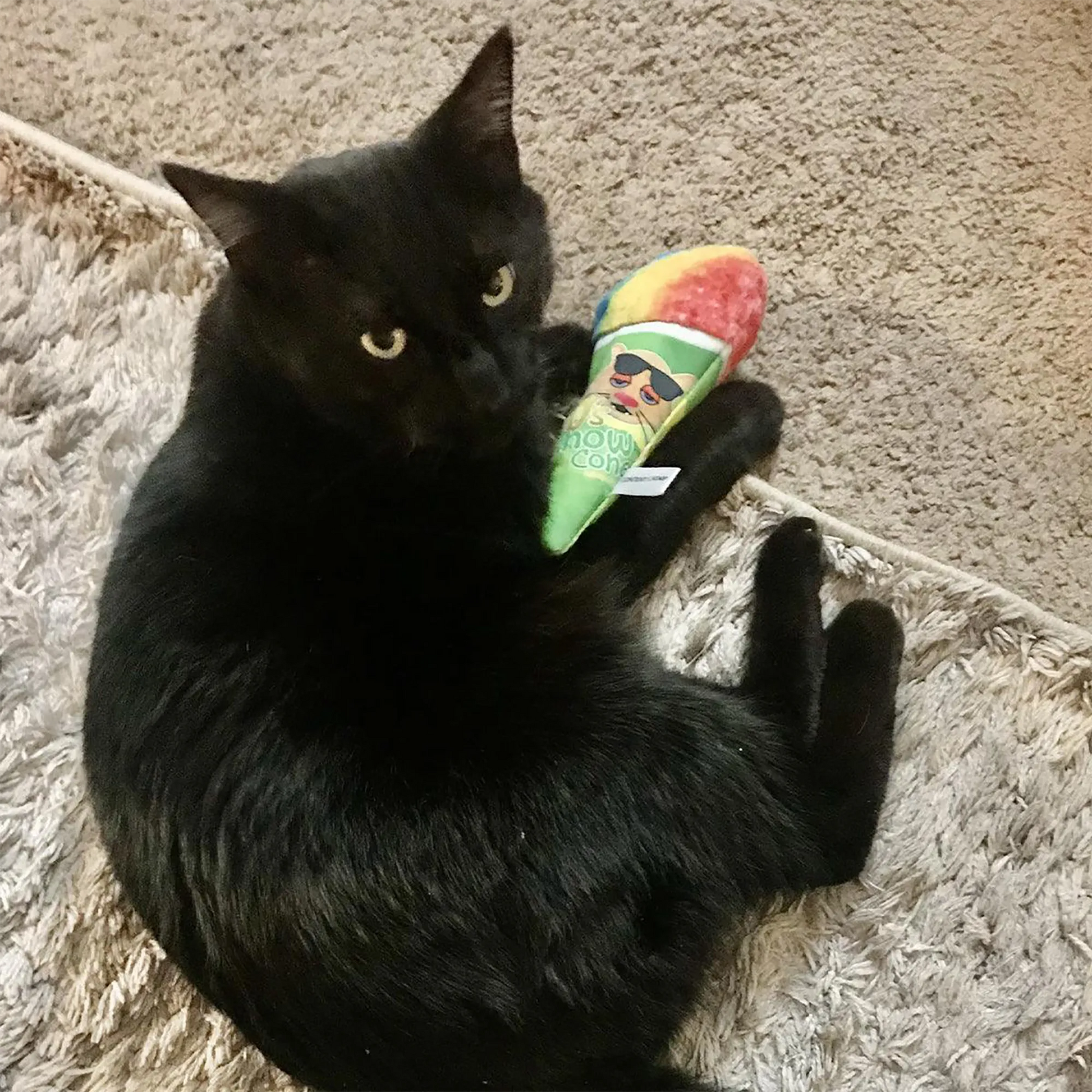 A black cat lounging on a rug, hugging the colorful snow cone toy with a curious expression.