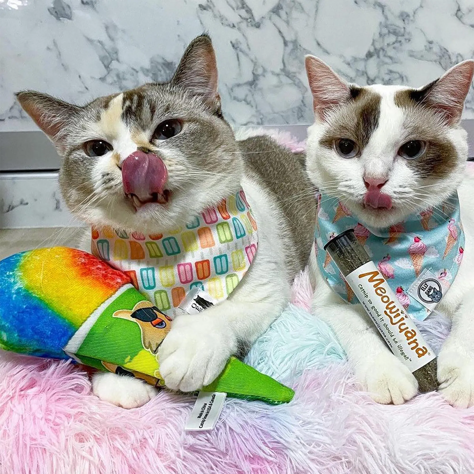 Two cats wearing playful bandanas, one holding the snow cone toy while the other sniffs a tube of catnip.